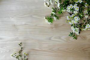 Light ash wood texture with subtle grain patterns, creating a fresh and airy feel photo
