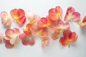 A close up of a bunch of pink flowers with yellow spots. The flowers are scattered across the image photo
