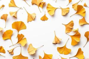 A close up of yellow leaves scattered across a white background photo