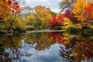Reflective surface of a calm pond mirroring the vibrant autumn foliage photo