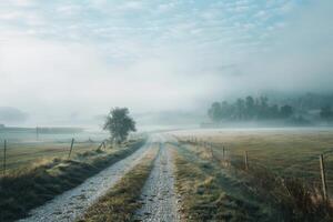 Rolling fog in a serene landscape photo
