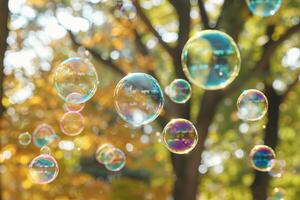Rainbow-colored soap bubbles floating transparently in the air on a sunny day photo