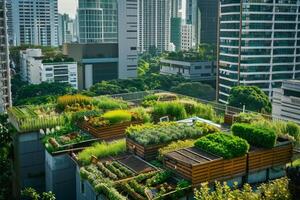 Urban rooftop garden with lush vegetation and beehives, promoting green spaces in cities photo