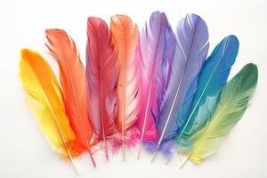 Rainbow-colored feathers transparently arranged in a fan shape photo