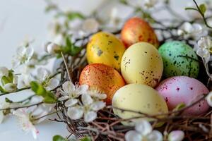 Colorful Easter eggs arranged in a nest with spring blossoms photo