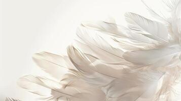 Dreamy boho feathers evoking a sense of serenity and calmness against white photo