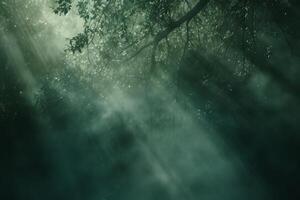 Wisps of fog in a mystical forest photo