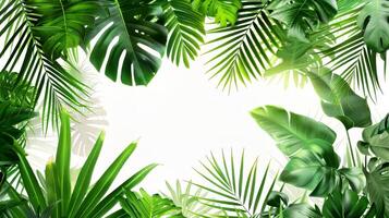 A lush green jungle with palm trees and leaves. The image is full of life and energy, and it evokes a sense of adventure and exploration. The vibrant colors of the leaves photo