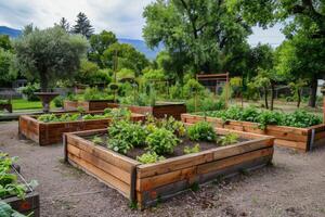 Sustainable community garden with raised beds and composting bins, promoting local food production photo