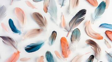Dreamy boho feathers adding a touch of whimsy to a white background photo