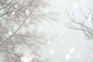 Delicate snowfall against a soft transparent white backdrop, evoking peaceful scenes photo
