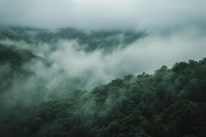 Rolling fog in a misty valley photo