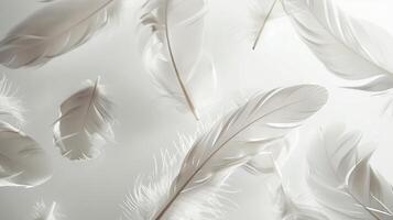 Ethereal boho feathers floating delicately against a pristine white surface photo