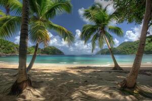 A lush tropical paradise, with palm trees and white sandy beaches photo