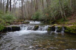 A serene forest stream, with crystal-clear water cascading over moss-covered rocks photo