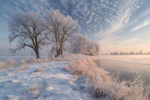 A tranquil snow-covered landscape, with frost-covered trees and a blanket of white stretching to the horizon photo