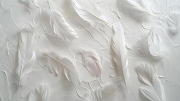 Delicate bohemian feathers arranged in a harmonious composition on a clean white canvas photo
