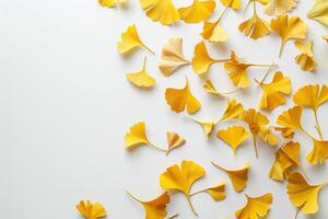 A close up of yellow leaves scattered across a white background photo