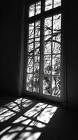 A window with a view of trees and a shadow on the floor. The window is open and the sunlight is shining through the glass photo