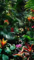 Lush rainforests alive with exotic flora photo