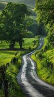 Quiet country lanes winding through the countryside photo