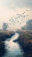 Coastal marshes alive with the sound of birdsong photo