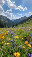 Serene mountain meadows carpeted in wildflowers photo