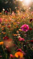 Vibrant fields of blooming wildflowers photo
