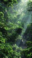 Dense jungles teeming with life photo