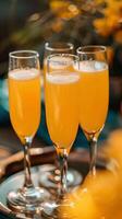 National Mimosa Day sparkling sips and brunch vibes photo