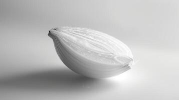 Minimalist spin of a single slice of onion photo
