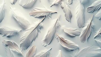 Feathers with a bohemian twist arranged in an enchanting pattern on a pure white backdrop photo