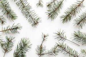 Rustic pine needles with woody textures on a transparent white backdrop, evoking images of winter forests photo