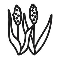 Sorghum Line Icon Design vector