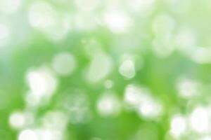 Blurred Spring Summer Nature Background with light Bokeh. Abstract blur blue and green soft pastel colors for backdrop. Defocused effect. Art clean blue cyan Illustration. Free Space for design photo