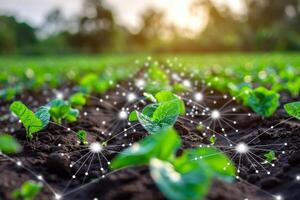 Smart Farm Concept, Agricultural Automation Control, Using Data to Analyze Plant Quality. photo