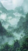 Ethereal cloud forests shrouded in mist photo