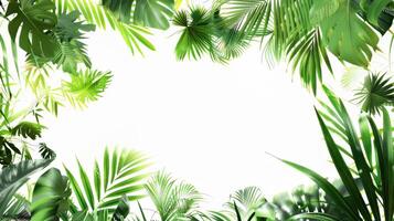 A lush green jungle with a white background. The image is full of life and energy, with the green leaves and plants creating a sense of growth and vitality photo