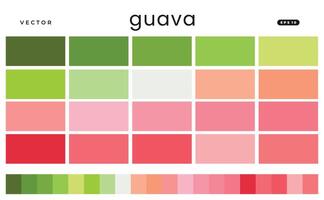 Guava Color Scheme Palettes vector
