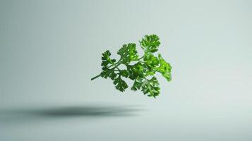 Minimalistic shot of a spinning slice of parsley photo