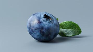 Clean and modern spin of a single blueberry photo