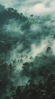 Ethereal cloud forests shrouded in mist photo