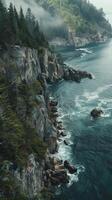 Pristine coastal forests overlooking rugged cliffs photo