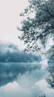 Serene backdrop to soothe the soul photo