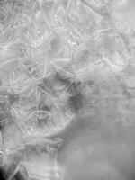 icecubes background,icecubes texture,icecubes wallpaper,ice helps to feel refreshed and cool water from the icecubes helps the water refresh your life and feel good.ice drinks for refreshment business photo