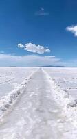 Surreal salt flats stretching to the horizon photo