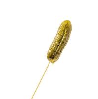 Isolated whole pickle with marinade droplets on a stick photo