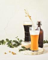 Two glasses of cold, light and dark, unfiltered beer, bottle, pistachios and leaves on a white background photo