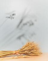 Summer background with a bouquet of wheat and barley ears and copy space photo