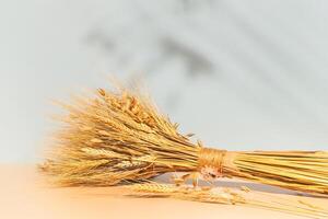 Summer background with a bouquet of wheat and barley ears and copy space photo
